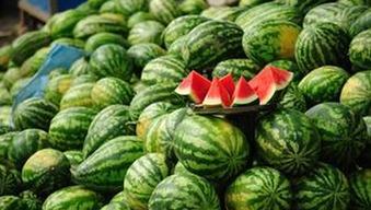 每日大赛吃瓜黑料每日大