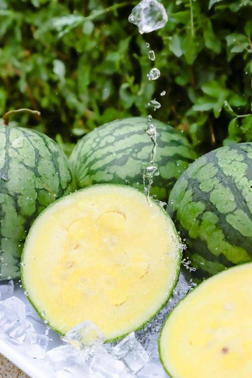 九幺18 黑料吃瓜入口,黑料吃瓜入口，带你走进娱乐圈的暗流涌动