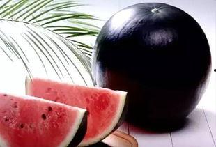 吃瓜正能量黑料