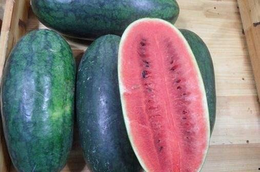 屁屁大王黑料吃瓜,黑料吃瓜背后的真相与争议